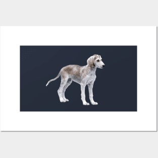 Saluki Puppy Dog Posters and Art